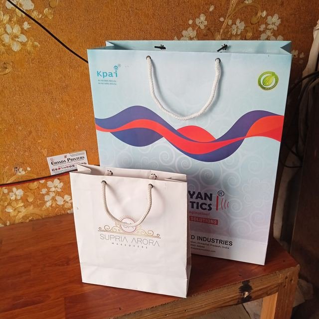 Printed Paper Bags made by Chanda Printers